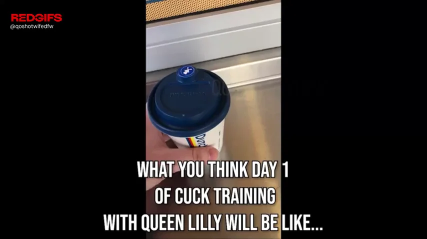 Training this cuck how to properly serve a Snowbunny