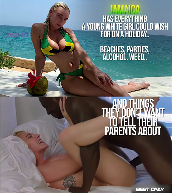 The Perfect Holiday