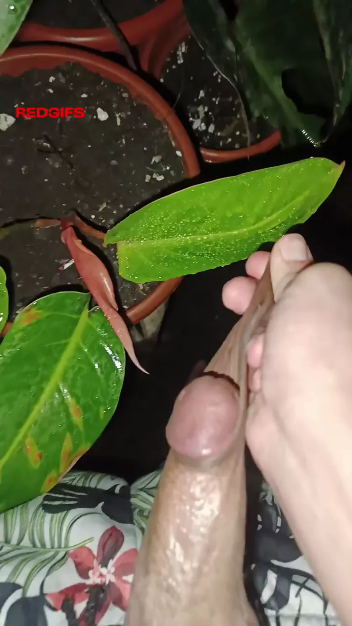 🍆💦 Epic Asian Big Dick Cumshot & Lick Fest! 🔥