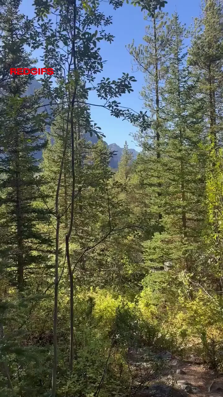 Had to stop at the divide at Banff national park to release