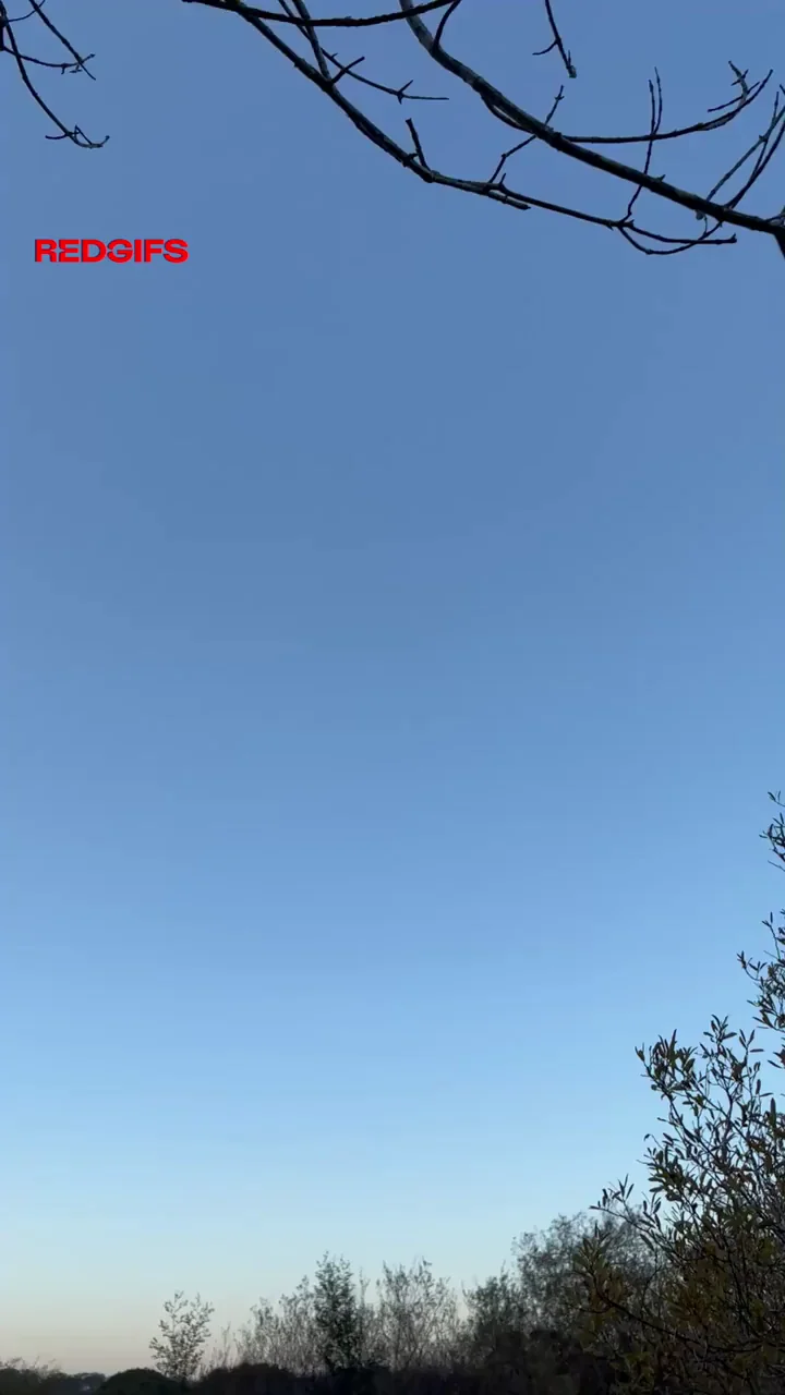 Flare Pants Cutie Drops Surprise Blowjob in the Woods