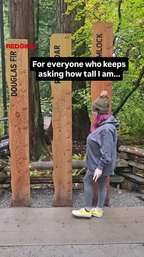 Big woods