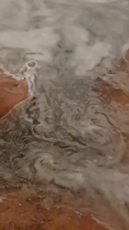 See what's surfacing from underwater! ??