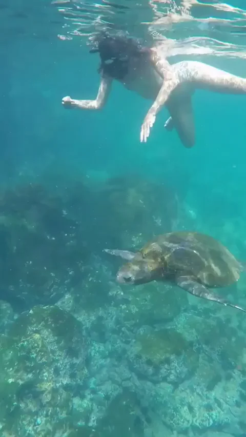Snorkeling with my tits out