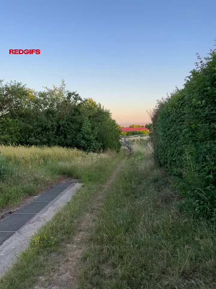 Wild German Backshots: Fucking Her Thick Ass in Sunset Fields