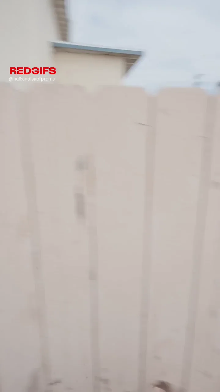 Us when we’re tryna take you home [gif]