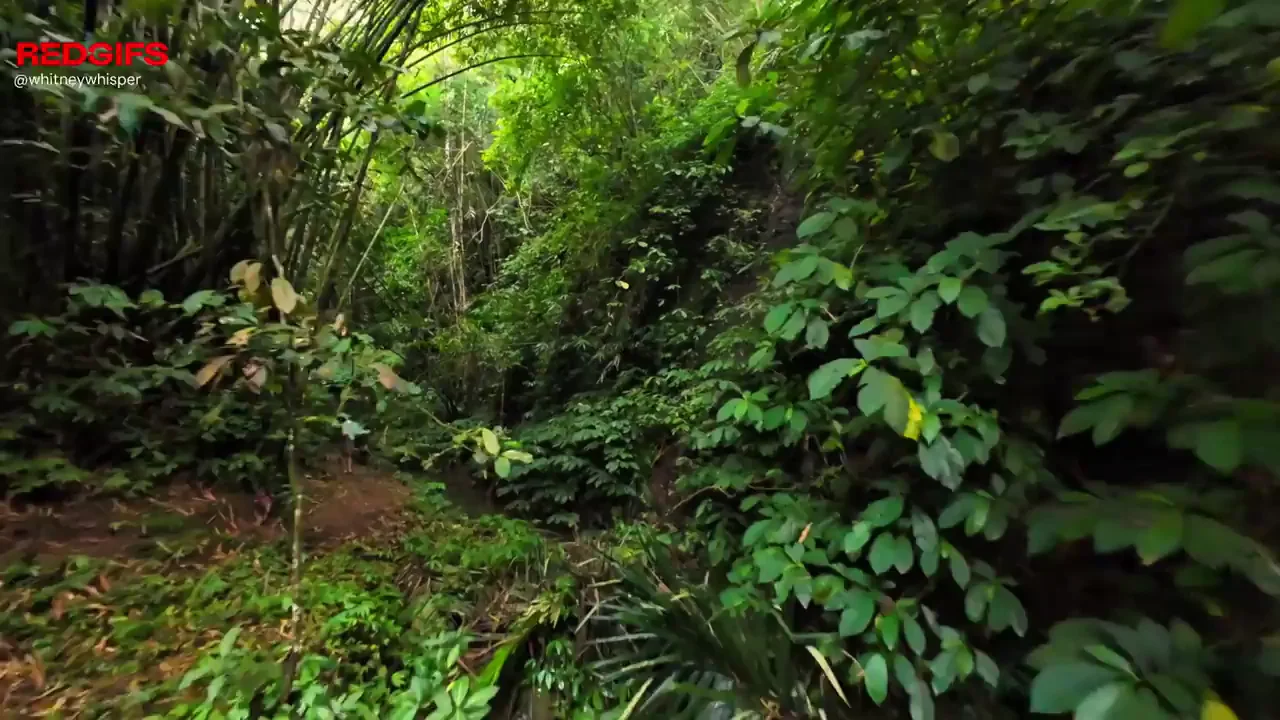 Jungle Tease: Come Play with My Massive Homegrown Tits!