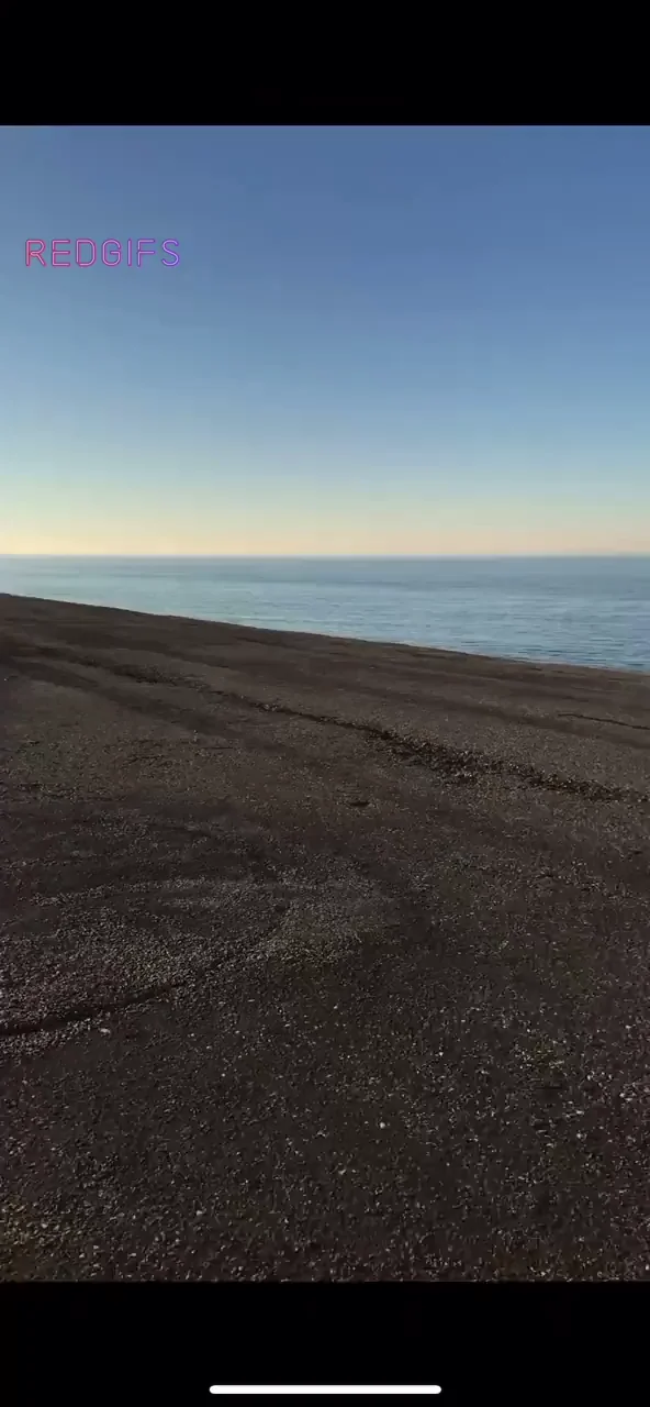 Beachside Blowie: Close Enough to Risk It? 😈🌊🍆