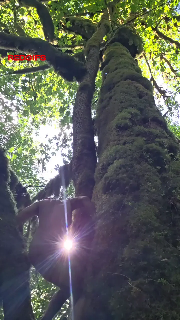 Do you like hugging trees as much as me?
