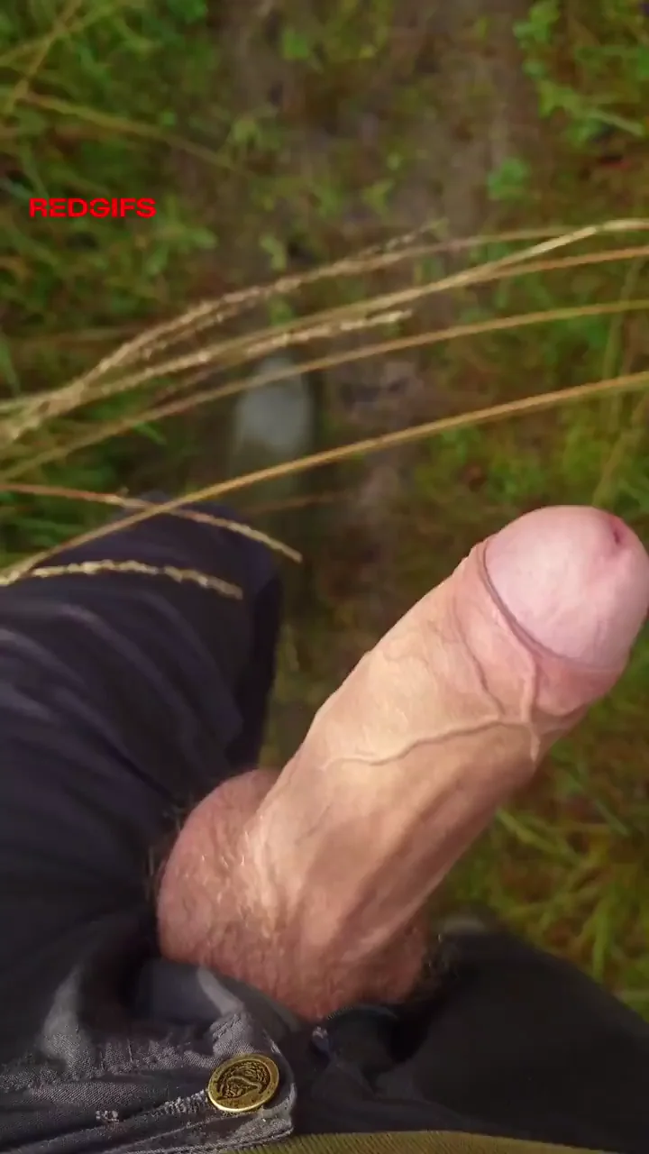 [29] Lovely walk through the woods