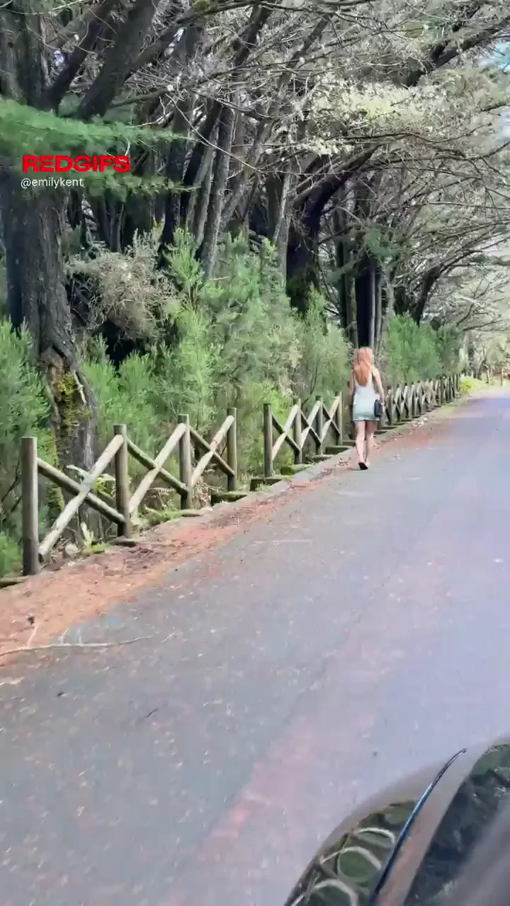 The stroll is getting more and more exciting.