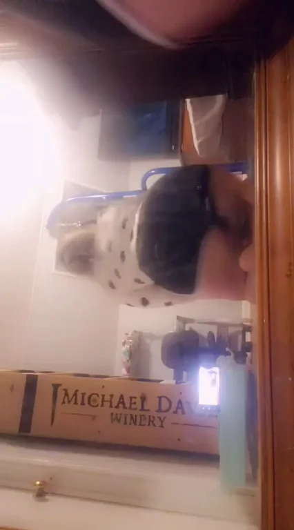 Pull My Tight Panties Aside and Pound This Curvy Ass
