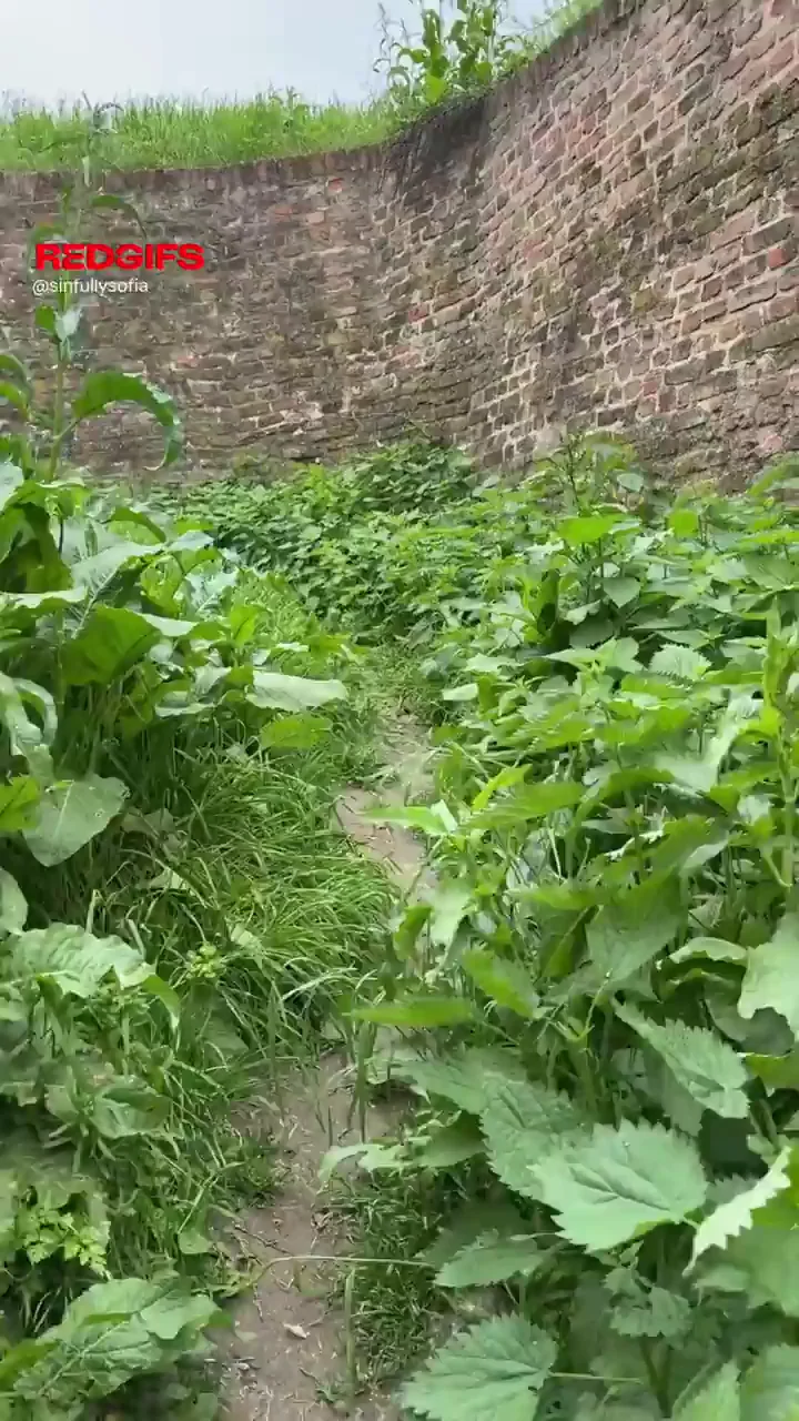 got dared to get off in a historical site today... didn't think about my 3 mile hike back! (f)