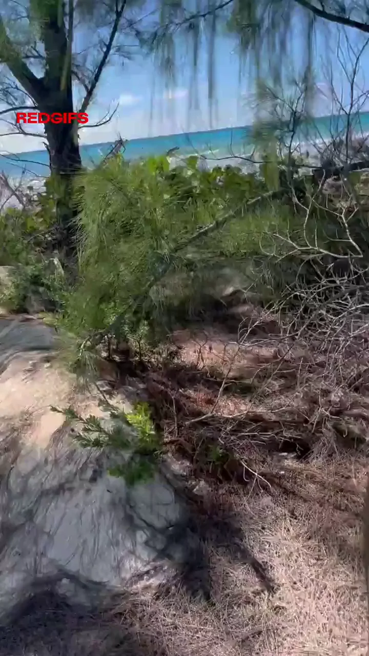 Is there anything better than fucking outdoors?