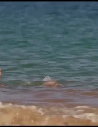 Brooklyn Decker's Juicy Bikini Tease in Just Go With It 🔥🏖️