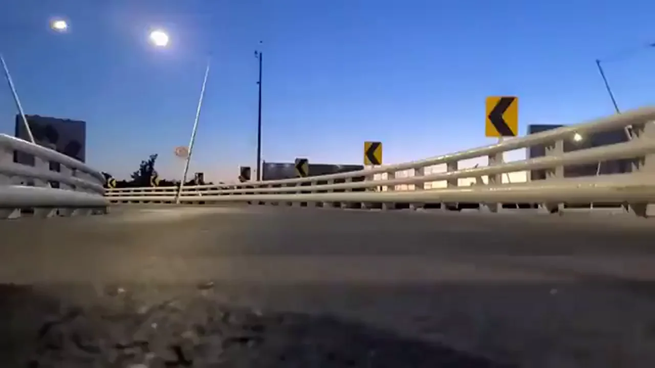 Middle of the Road Doggie Pound-Down: Public Moonlit Fuck Fest