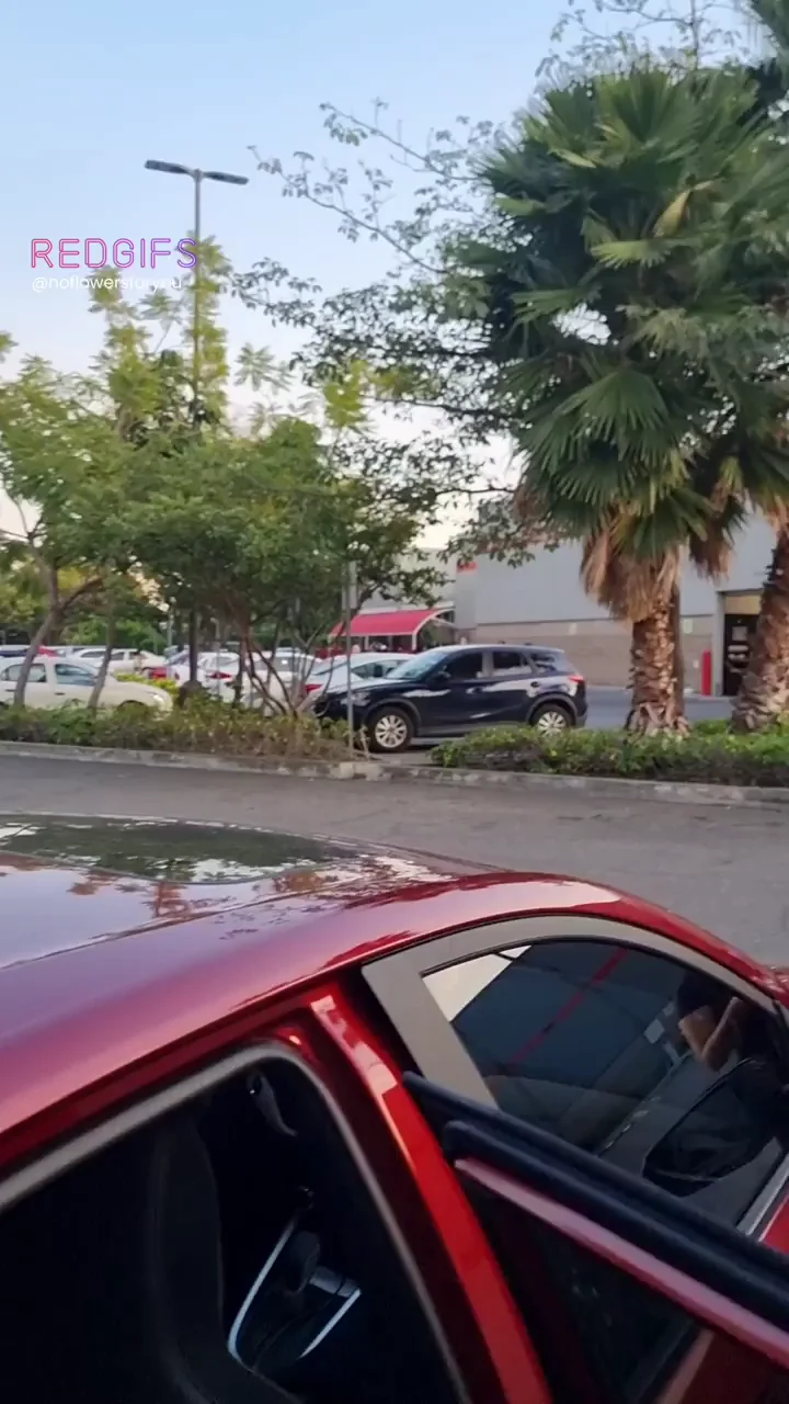 Dogging at Costco's parking lot