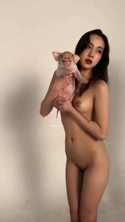 cute little piggy