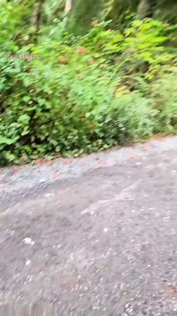 If you’re staring at my ass, just say hi.
