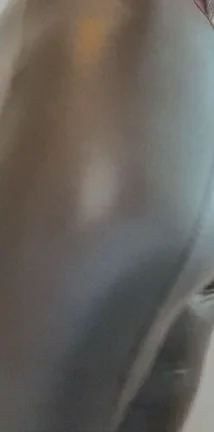 this enough ass for you? OC