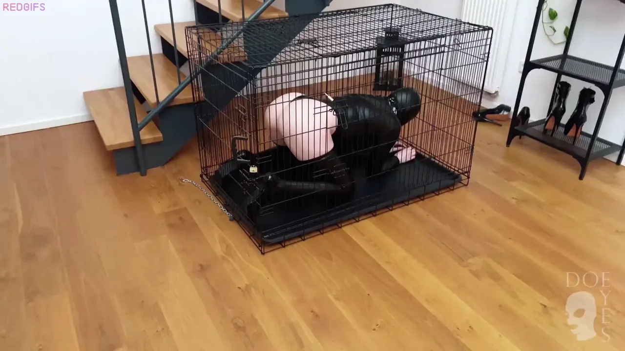 from caged to filled, one size up and one step closer to perfection