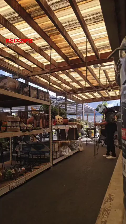 Garden section shopping