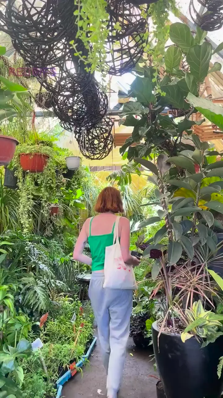 This way the plants grow happier