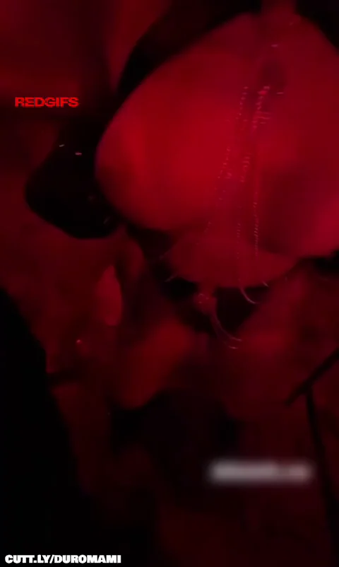 Can anyone help me find this model or video