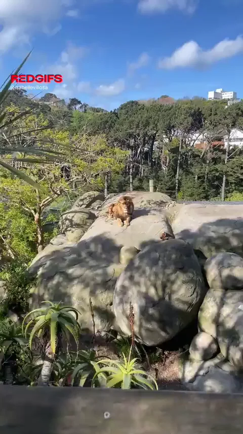 Had some fun at the zoo