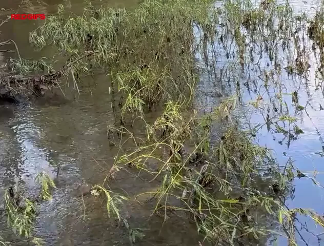 Wifey asked for a video while hunting
