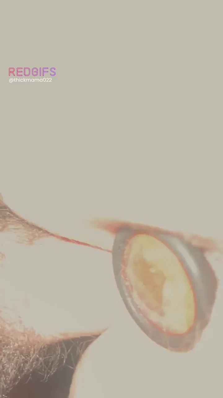 Amateur GIF by thickmama022
