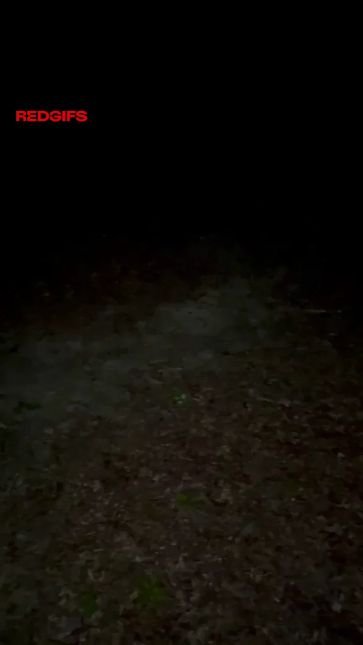 Got a little naughty on our night hike