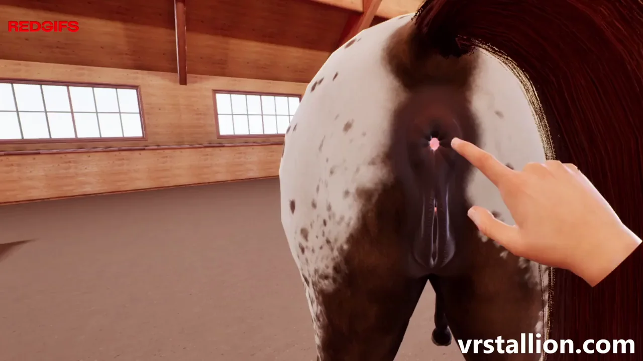 🐴 VR Mare Pussy Inspection – Finger That Filly Hole! 🐎💦