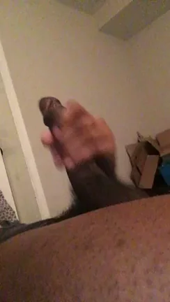 For your viewing pleasure