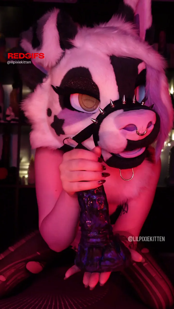 Furry Kitty JOI Tease to Pussy-Pounding Dildo Ride and Squirting Cum 💦