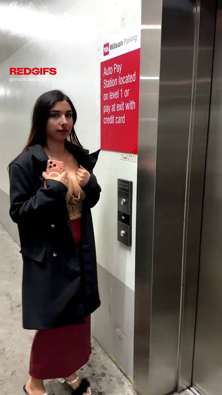 Erotic Elevator