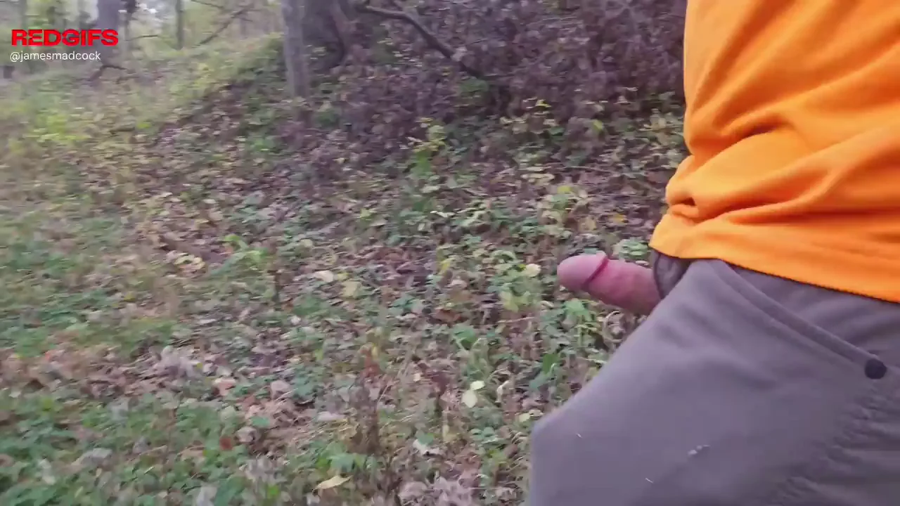 A little adventure in the woods