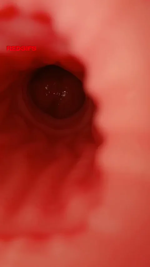 Internal View of Dark Violet