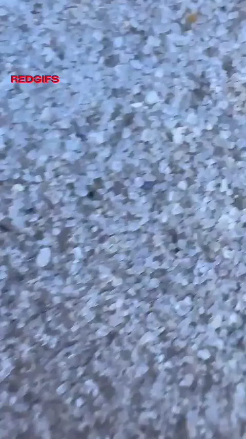 Beach Bimbo Doll's Massive Fake Tits Tease