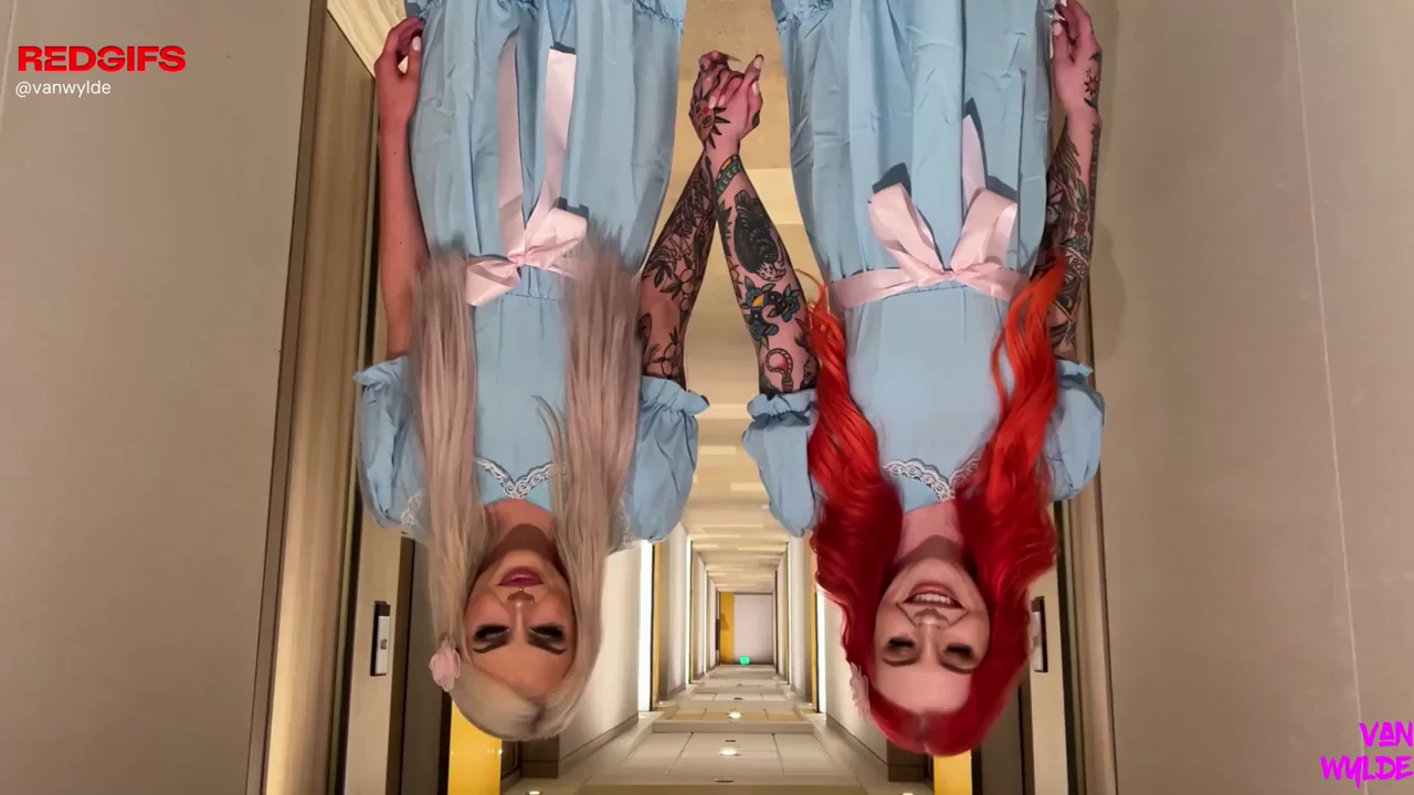 We put it down in the Shining