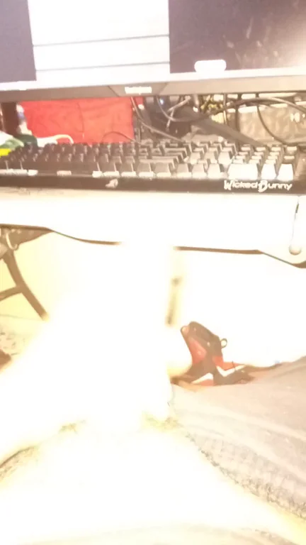 First Post: What Happens When I Scroll Reddit For Too Long