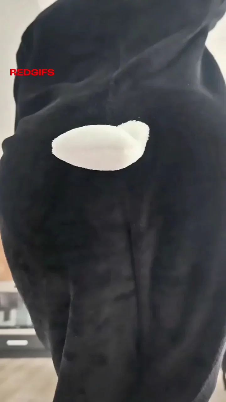 You panda wifey's ass and pussy reveal ;-)