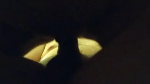 I loved this view while I was riding reverse cowgirl. Would you help us video?