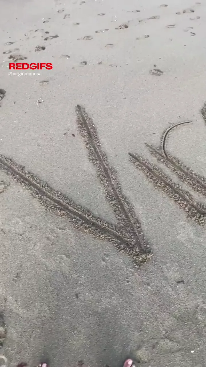 Virginmimosa’s Toes in the Cali Sand