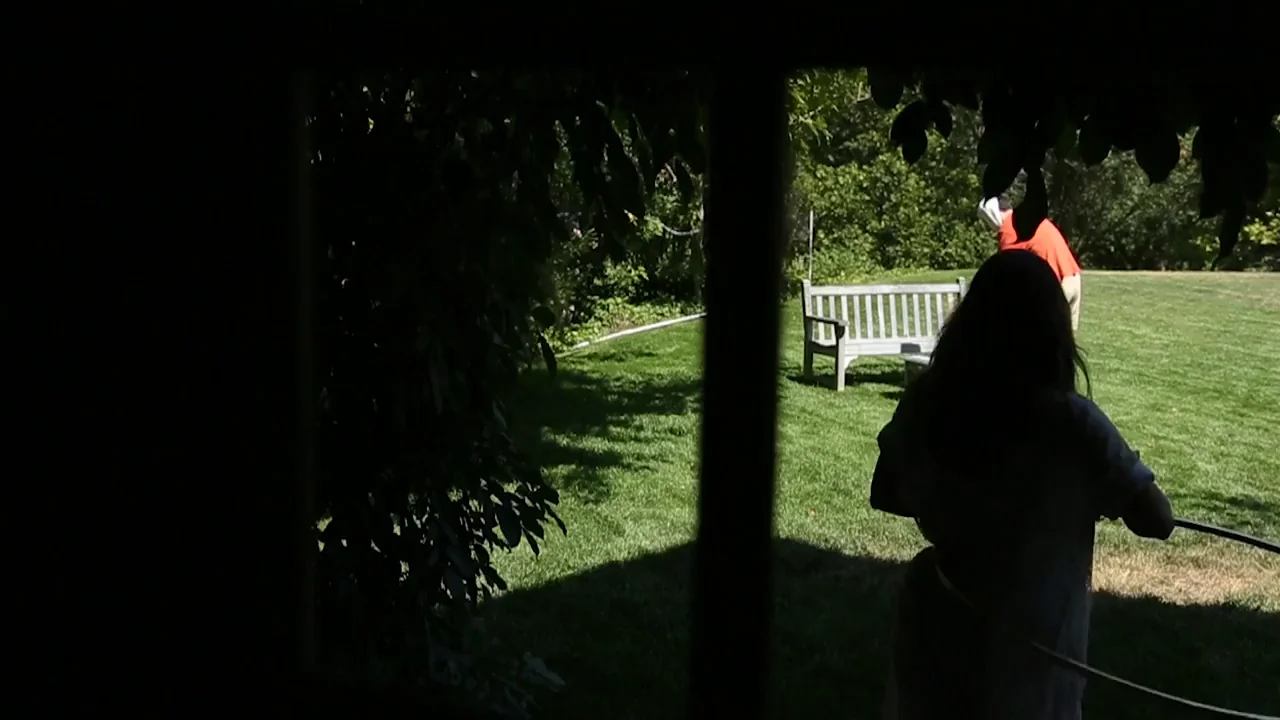 What the heck is this from?