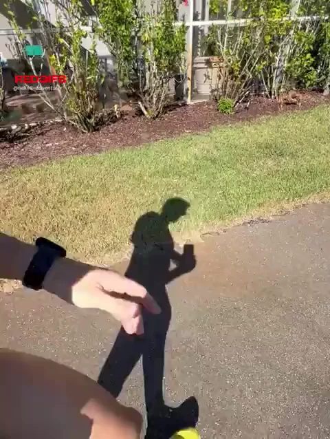 Nude Strolls with Monster Cock Flashing! 🍆🌳