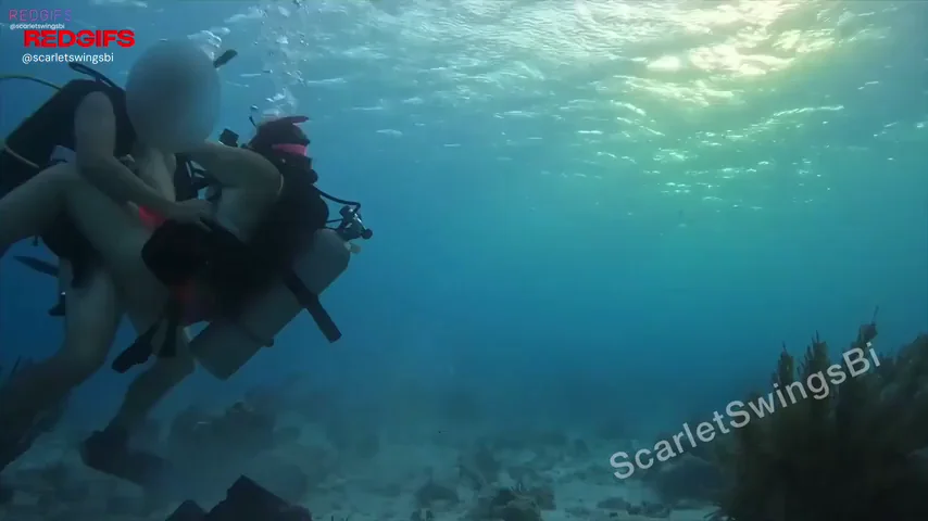 Fucking underwater was such an unreal experience! So glad we got our SCUBA certifications 😂