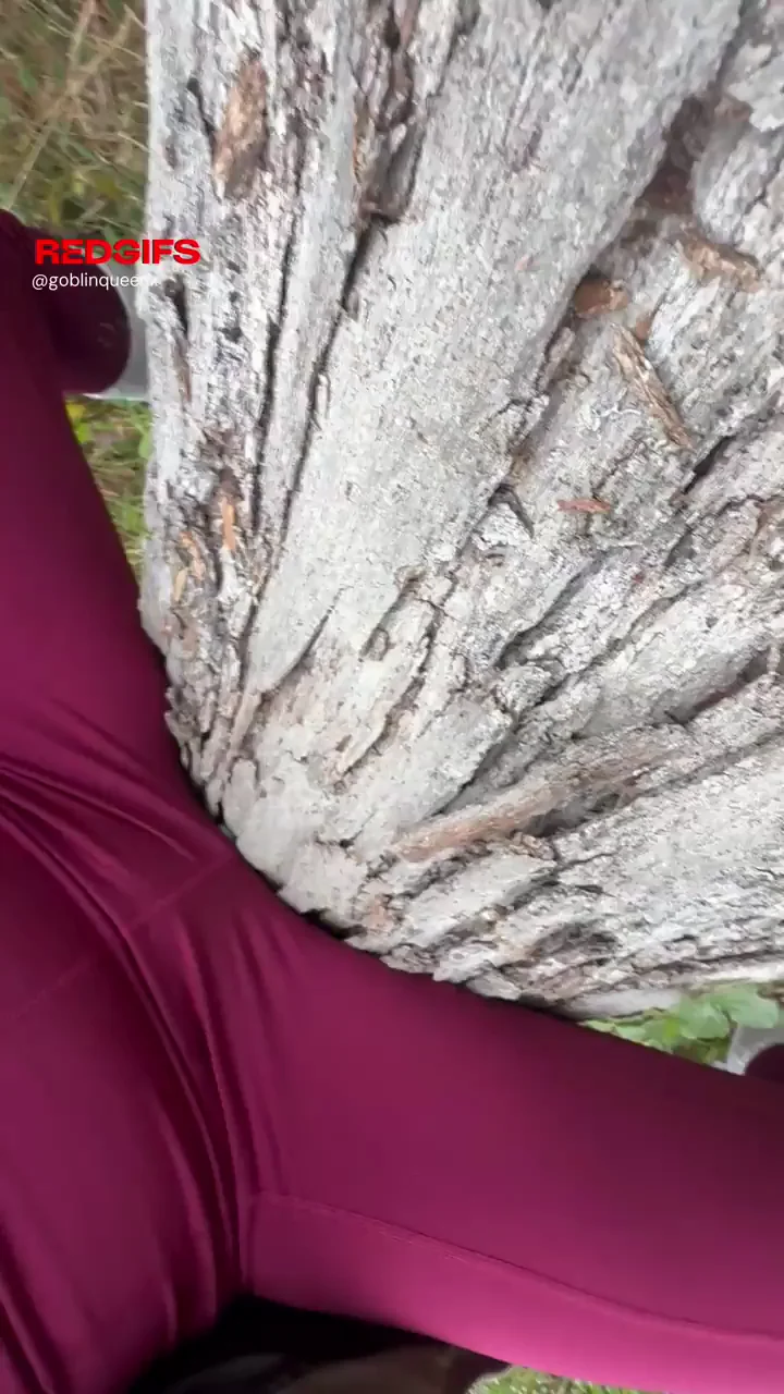 We’ve heard of a tree hugger, but what about a tree humper?