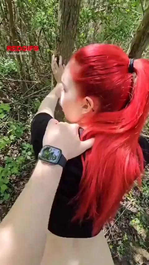 forest fuck