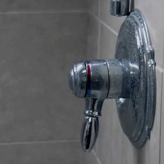 Liliya Czarina's Steamy Shower Tease: Echo Game Nude Plot Bomb (2009)